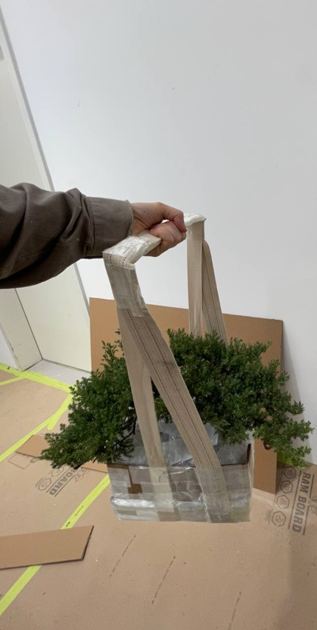 photo_2025-05-31 00.01.00.jpeg